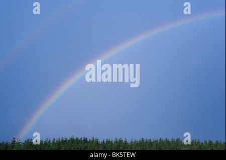 Arc-en-ciel sur les arbres, Salzbourg, Autriche Banque D'Images