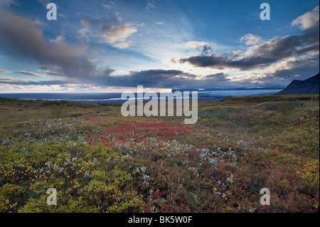 Vue sur télévision-sable de delta et de la rivière Skeidara Skeidararsandur sous glacier de Vatnajokull, parc national de Skaftafell l'Islande Banque D'Images