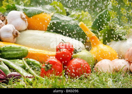 Des légumes frais Banque D'Images