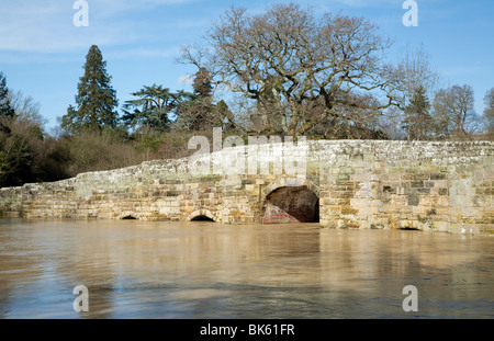 L'ancien pont Stopham près de Littlehampton, West Sussex avec de très hautes eaux du fleuve Arun Banque D'Images