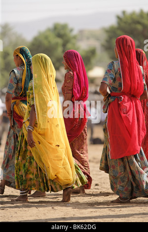Mesdames indien du Rajasthan au groupe juste chameau, Pushkar Inde. Banque D'Images