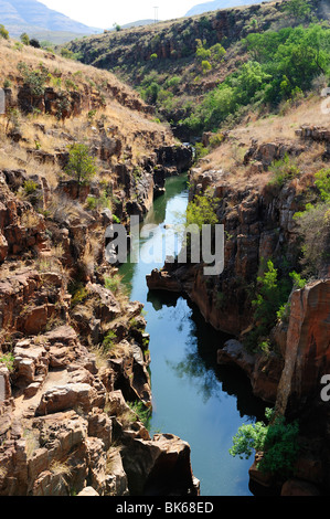 Bourke's Luck potholes, Blyde River Canyon dans la province de Mpumalanga, Afrique du Sud Banque D'Images