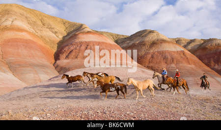Chevaux Cowboys à travers collines peintes wyoming Banque D'Images