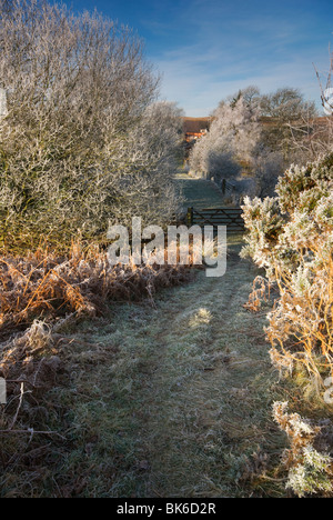 Un frosty Mid Wales Lane sur une journée l'hiver Banque D'Images