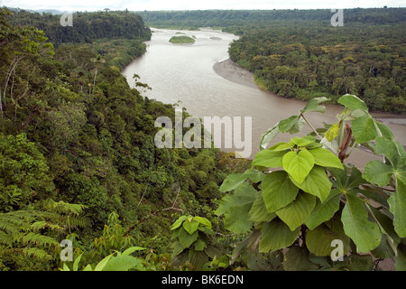 Vue sur la rivière Pastaza en Amazonie équatorienne Banque D'Images