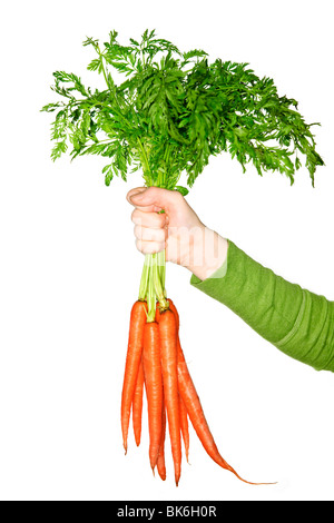 Woman's hand holding bouquet de carottes orange bio frais entier Banque D'Images