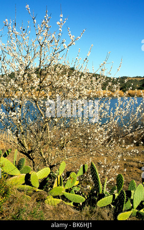 La rivière Guadiana, dans le sud de la province de l'Algarve au Portugal. La rivière forme une frontière naturelle entre l'Espagne et le Portugal. Banque D'Images