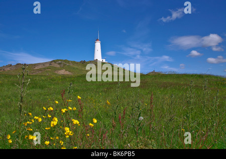 Phare de Reykjanes, Reykjanesviti, colline avec des fleurs sauvages d'été Renoncule jaune au premier plan, le ciel bleu, la péninsule de Reykjanes en Islande l'été Banque D'Images