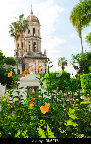 Hibiscus fleurs près de Temple de solitude ou Templo de la Soledad, Guadalajara, Jalisco, Mexique Banque D'Images