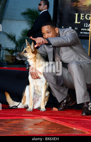 WILL SMITH & DOG DE I AM LEGEND WILL SMITH ET MAIN CÉRÉMONIE EMPREINTE GRAUMANS CHINESE HOLLYWOOD LOS ANGELES USA 10 décembre Banque D'Images