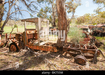 Un 1920,s chariot avec un arbre qui grandit à travers le châssis dans Cordial Hotel Wrecking Yard près de Cooma en Nouvelle Galles du Sud, Australie. Banque D'Images