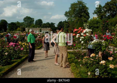 Paris, France, personnes visitant le Parc urbain, jardin des fleurs européennes, jardin de Bagatelle Rose, Bois de Boulogne Banque D'Images