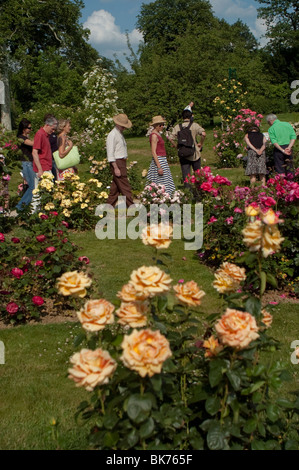Paris, France, groupes de personnes, touristes, visiter le Parc urbain, Jardin de fleurs européen, Bagatelle Rose, Bois de Boulogne Banque D'Images