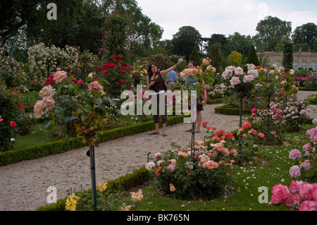 Paris, France, Parc urbain des femmes en visite, jardin de fleurs européen, jardin de Bagatelle Rose, Bois de Boulogne Banque D'Images