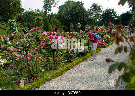 Paris, France, jeune homme asiatique touriste visitant le parc urbain, le jardin européen des fleurs, le jardin de Bagatelle, le bois de Boulogne » paris Spring Banque D'Images