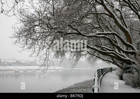 Neige sur la Thames Path à Bishops Park, Fulham, London, UK Banque D'Images