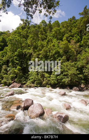 La Mossman Gorge dans la forêt tropicale de Daintree dans le Nord du Queensland, Australie. Banque D'Images