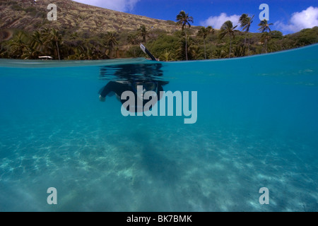 Deux images du snorkeler planant au-dessus d'un substrat sablonneux, Hanauma Bay, Oahu, Hawaii Banque D'Images