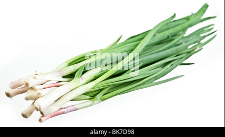 Bouquet d'oignons verts sur fond blanc Banque D'Images
