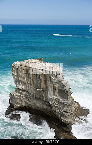 Auckland, vue aérienne de rochers sur gannet Muriwai Beach Banque D'Images