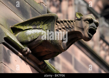 Gargouille à la cathédrale de Chester, Cheshire, Royaume-Uni Banque D'Images