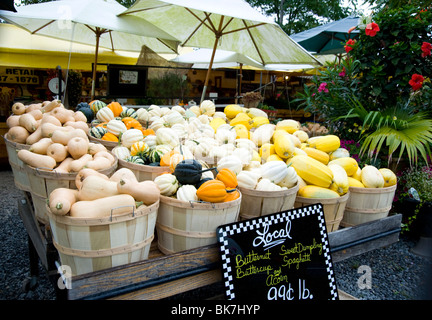 Différentes variétés de courges en vente sur un stand de la ferme à East Hampton, Long Island, New York State, USA Banque D'Images