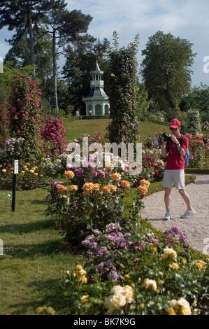 Paris, France, Homme en visite dans le Parc urbain, jardin de fleurs européen, jardin de Bagatelle, Bois de Boulogne Banque D'Images