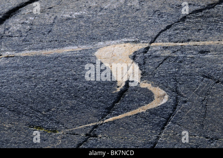 Motif dans la roche. Banque D'Images