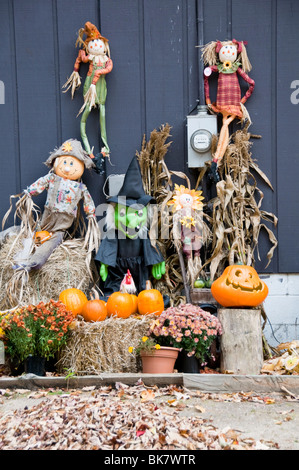 Citrouilles Halloween,,Chasse d'automne,Squash,Jack O'Lanternes,affichage,Toussaint Banque D'Images