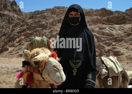 Bédouine égyptien avec camel Banque D'Images