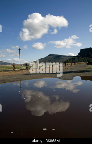 Printemps nuages dans un ciel bleu reflété dans une flaque de pluie sur un ranch dans le centre de l'Oregon Banque D'Images