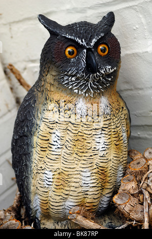 Owl, figurine, Armscote, Warwickshire, Angleterre, Royaume-Uni, Europe Banque D'Images