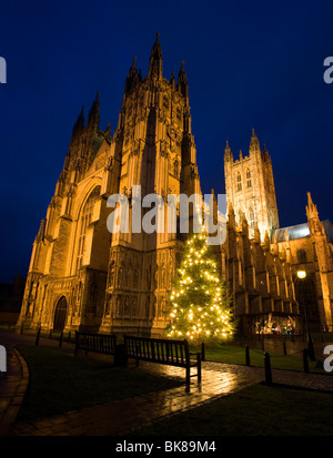 Avec blocage de l'arbre de Noël et crèche de Noël à la Cathédrale de Canterbury dans le Kent, UK Banque D'Images