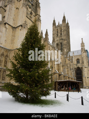 Avec blocage de l'arbre de Noël et crèche de Noël à la Cathédrale de Canterbury dans le Kent, UK Banque D'Images