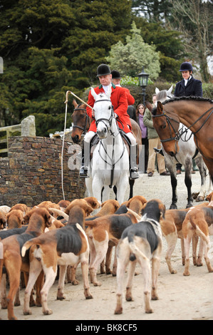 chasse au renard Banque D'Images