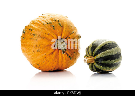 Les courges, citrouilles, courges (Cucurbita) Banque D'Images