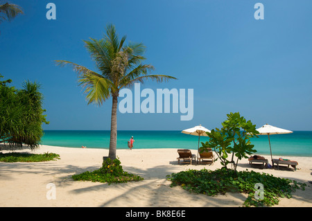 Palm beach, Chaweng Beach, Ko Samui Island, Thailande, Asie Banque D'Images