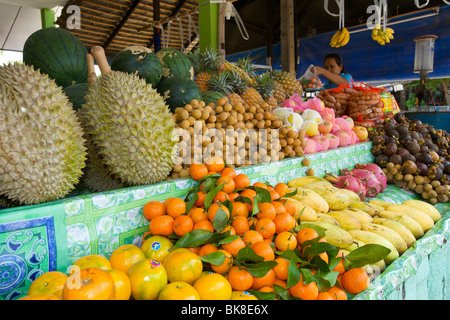 Stand de fruits sur la plage de Lamai, l'île de Ko Samui, Thaïlande, Asie Banque D'Images