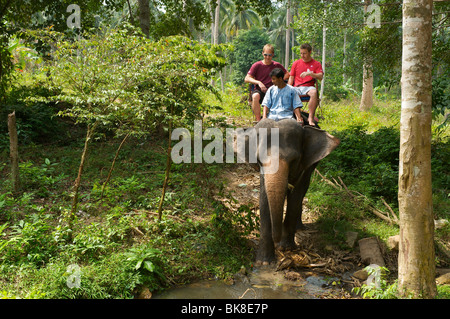 Randonnées à dos d'éléphant, l'île de Ko Samui, Thaïlande, Asie Banque D'Images