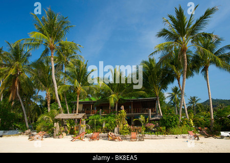 La plage de Lamai, l'île de Ko Samui, Thaïlande, Asie Banque D'Images