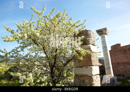 Les ruines de la st. Johns basilique construite au 5ème siècle par l'empereur Justinien sur la Colline Ayasuluk, Selçuk, Ephèse Banque D'Images