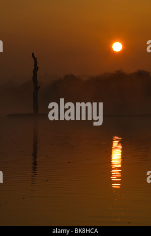 Lever de soleil à la réserve naturelle d'Attenborough, Nottinghamshire, Angleterre Banque D'Images