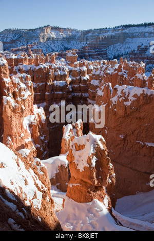 Vue de la cheminées du sentier en boucle Navajo à Bryce Canyon National Park, Utah. Banque D'Images