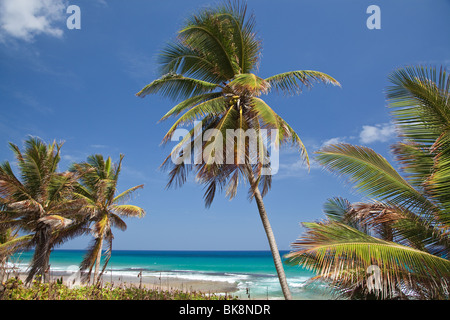Bethsabée, Côte Est, Barbados, Caribbean Banque D'Images