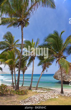 Bethsabée, Côte Est, Barbados, Caribbean Banque D'Images