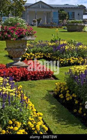 Devon, Bicton Park Fleurs & Orangerie Banque D'Images