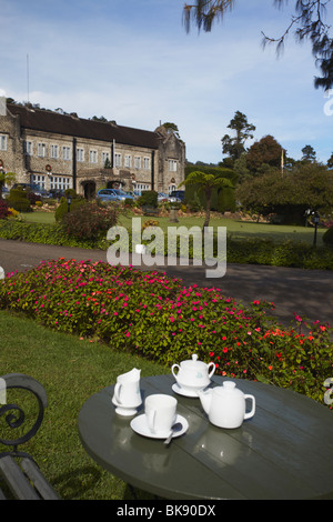 Thé du matin dans le jardin de l'Hill Club, Nuwara Eliya, Sri Lanka Banque D'Images