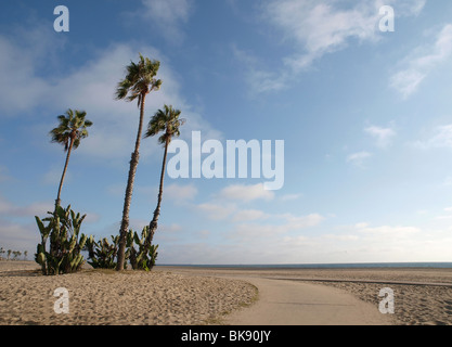 Sable, soleil et palmiers grace une piste cyclable plage de la Californie du sud. Banque D'Images