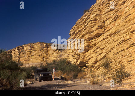 Formation de Boquillas-calcaire couches de schiste à Tinaja Carlota domaine dans le parc national Big Bend, Texas, États-Unis Banque D'Images