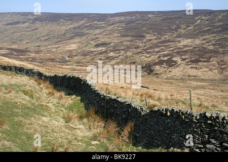 Mur de pierres sèches sur Croasdale tomba, forêt de Bowland, Lancashire, UK Banque D'Images